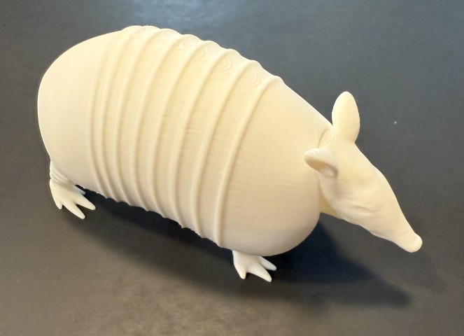 Armadillo