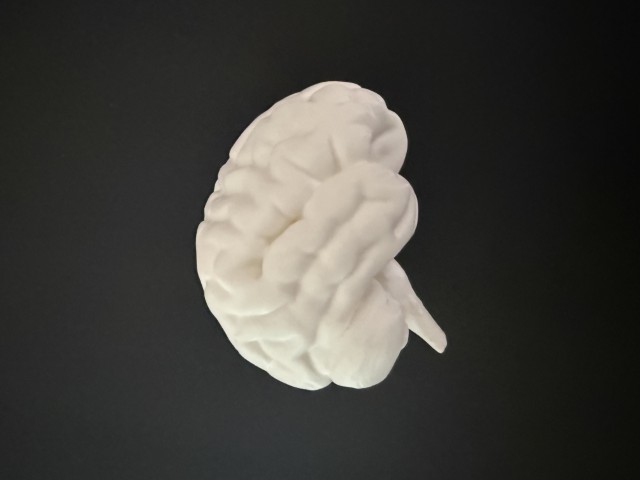 full brain
