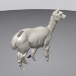 3D-printed tactile model of an alpaca
