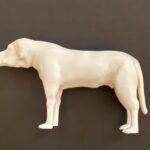 3D-printed tactile model of Baldwin, a Labrador retriever, in profile