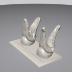 3D-printed tactile plaque with the heads of a crocodile and an alligator