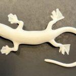 3D-printed tactile model of a Lazarus lizard seen from above